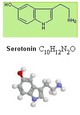 structure of the serotonin molecule